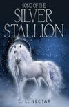 Song of the Silver Stallion