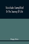 Vicissitudes Exemplified; Or The Journey Of Life