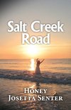 Salt Creek Road