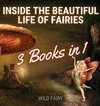 Inside the Beautiful Life of Fairies