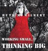 Working Small, Thinking Big