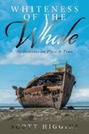 Whiteness of the Whale