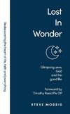 Lost in Wonder