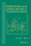 Combustion and Gasification in Fluidized Beds