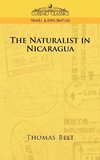 NATURALIST IN NICARAGUA