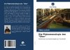 Die Phänomenologie des 