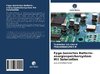 Fpga-basiertes Batterie-energiespeichersystem Mit Solarzellen