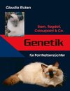 Genetik für Pointkatzenzüchter