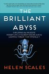 The Brilliant Abyss