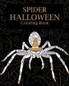 Spider Halloween Coloring Book