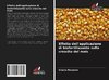 Effetto dell'applicazione di biofertilizzante sulla crescita del mais