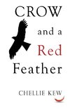 Crow and a Red Feather