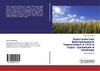 Krest'qnstwo Central'nogo Chernozem'q w 1920-e gody: tradicii i nowacii