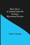 Doris Force at Locked Gates Or Saving a Mysterious Fortune
