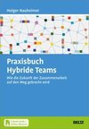 Praxisbuch Hybride Teams
