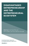 Disadvantaged Entrepreneurship and the Entrepreneurial Ecosystem