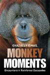 Monkey Moments