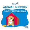 ANIMAL SOUNDS -  DOMESTICATED ANIMALS