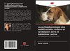 La pathophysiologie des modifications rénales et cardiaques dans la babésiose canine