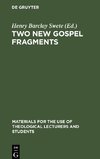 Two New Gospel Fragments