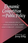 Dynamic Competition and Public Policy