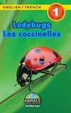 Ladybugs / Les coccinelles