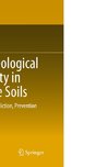 Hydrogeological Instability in Cohesive Soils