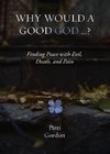 Why Would a Good God ...?