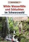 Wilde Wasserfälle und Schluchten im Schwarzwald