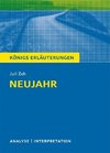 Neujahr von Juli  Zeh