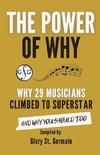 THE POWER OF WHY 29 MUSICIANS  CLIMBED TO SUPERSTAR