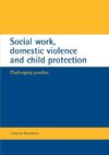 Social work, domestic violence and child protection