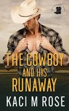 The Cowboy and His Runaway