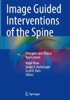 Image Guided Interventions of the Spine