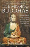 The Missing Buddhas