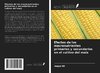 Efectos de los macronutrientes primarios y secundarios en el cultivo del maíz