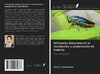 Artrópoda: Esenciales en la recolección y preservación de insectos