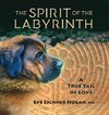 The Spirit of the Labyrinth