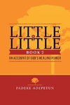 Little by Little- Book 2