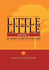 Little by Little- Book 2