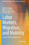 Labor Markets, Migration, and Mobility