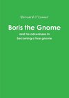 Boris the Gnome