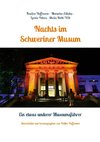 Nachts im Schweriner Museum