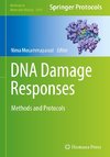 DNA Damage Responses
