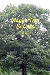 Maple Tree Secrets