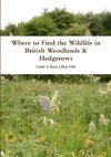 Where to Find the Wildlife in British Woodlands & Hedgerows