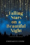 Falling Stars on a Beautiful Night