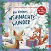 Ein kleines Weihnachtswunder - Mit fünf echten Briefen