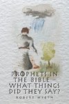Prophets in the Bible -  What Things Did They Say?