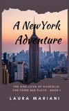 A New York Adventure